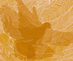 photo of the people and three crosses