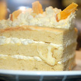 Cake at the Oasis Cafe